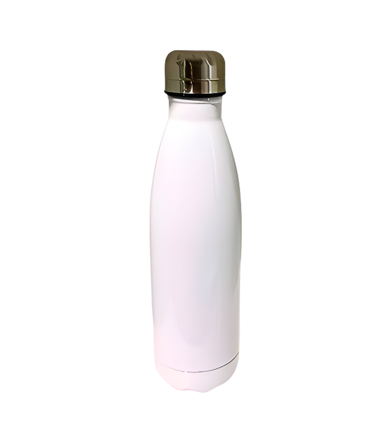 17 oz - Gourde en acier inoxydable - 500ml