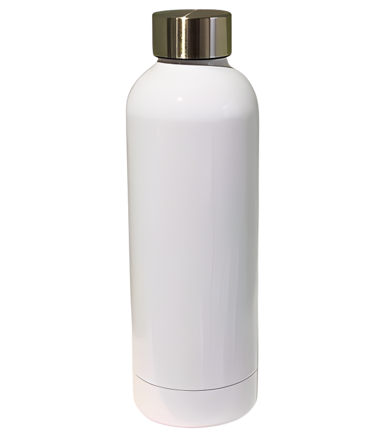 17 oz - Bouteille en acier inoxydable - 500ml